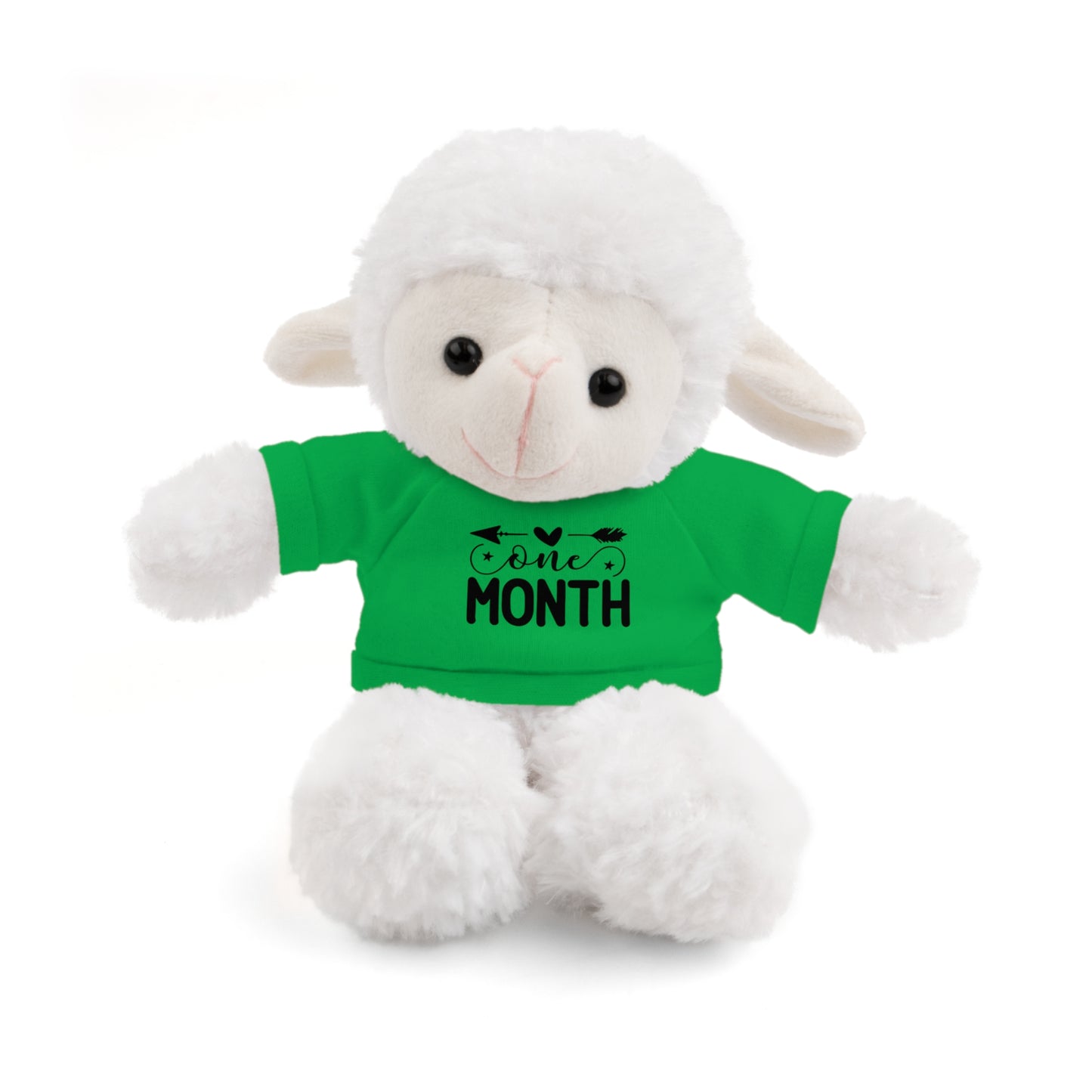First Stuffed Friend with Custom Tee