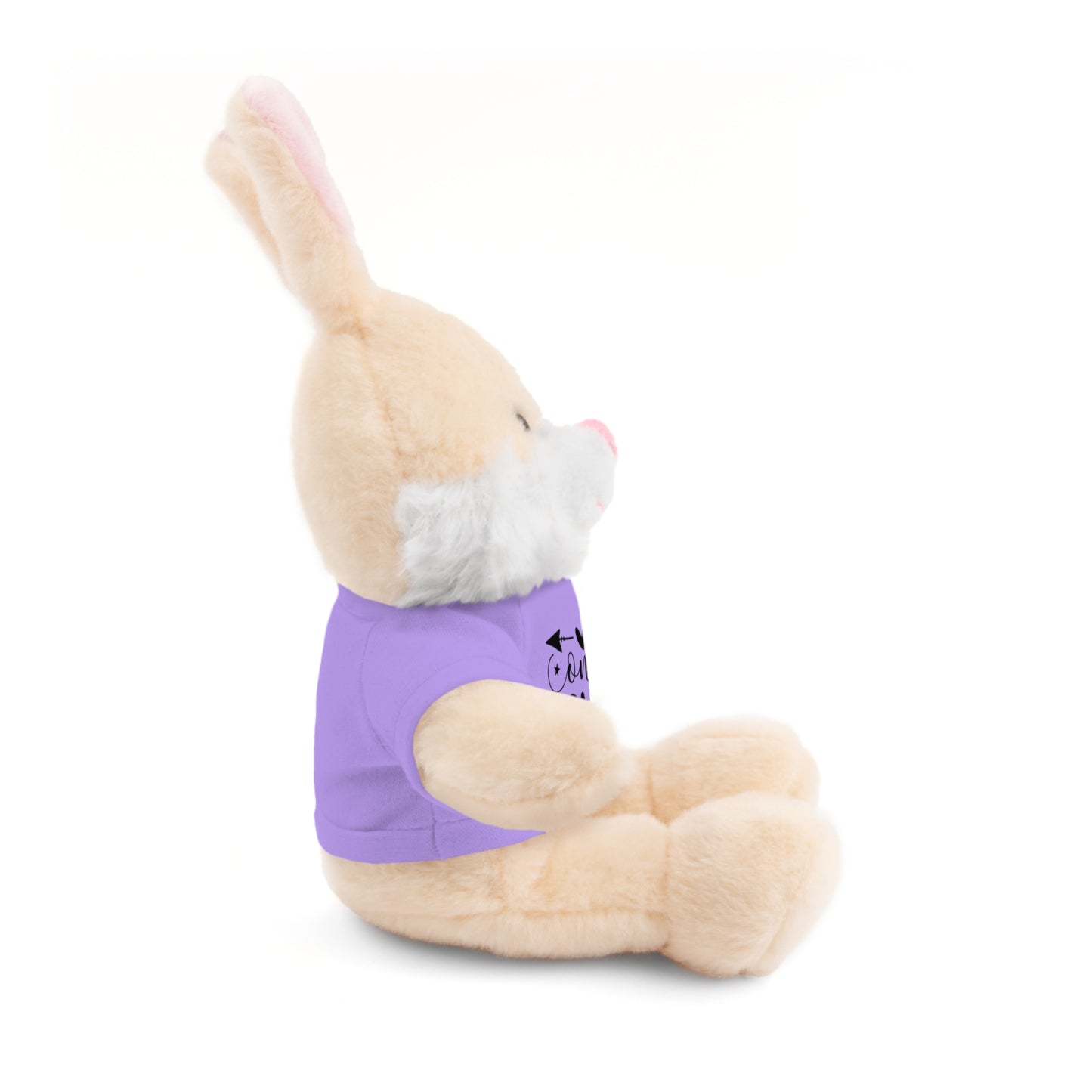First Stuffed Friend with Custom Tee