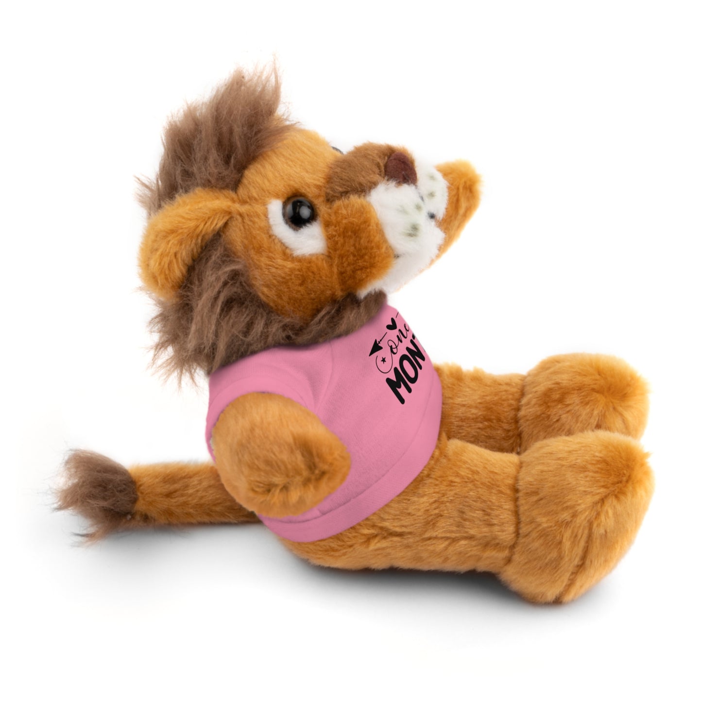 First Stuffed Friend with Custom Tee