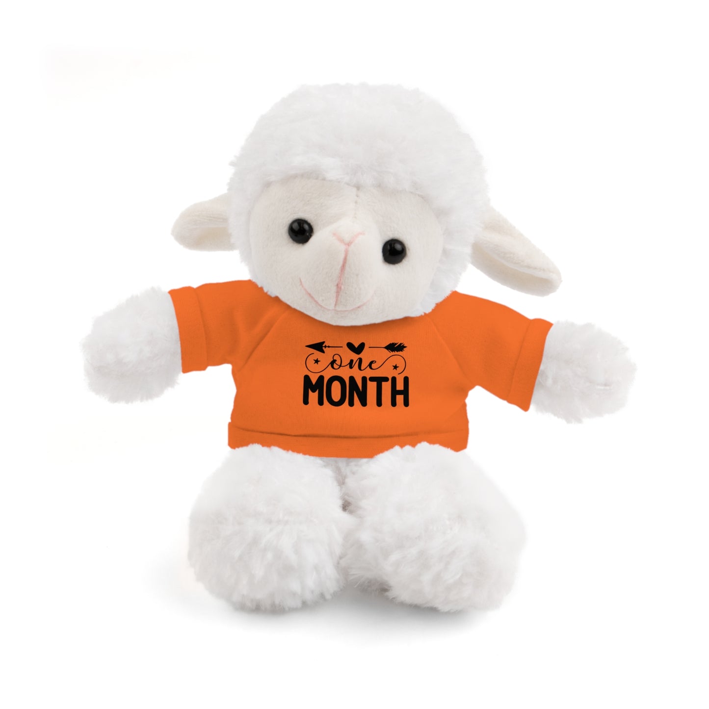 First Stuffed Friend with Custom Tee