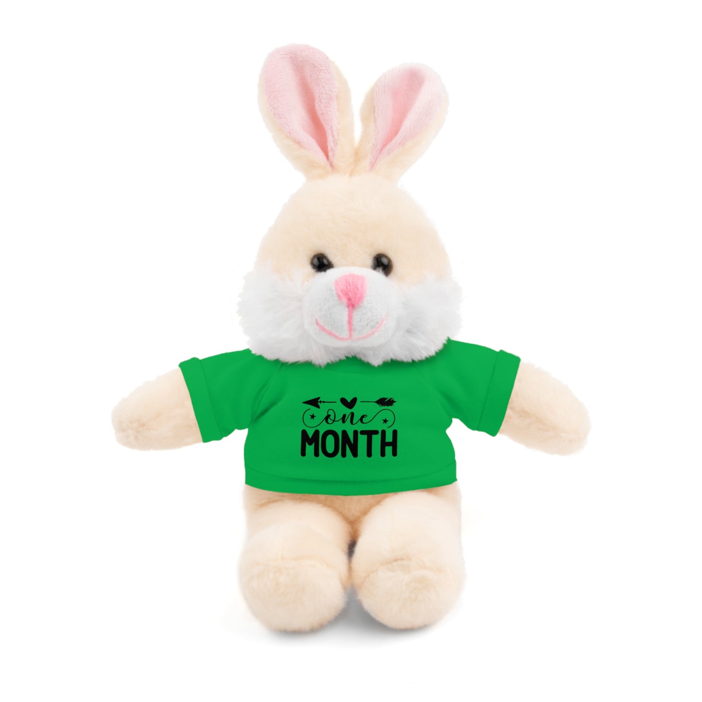First Stuffed Friend with Custom Tee