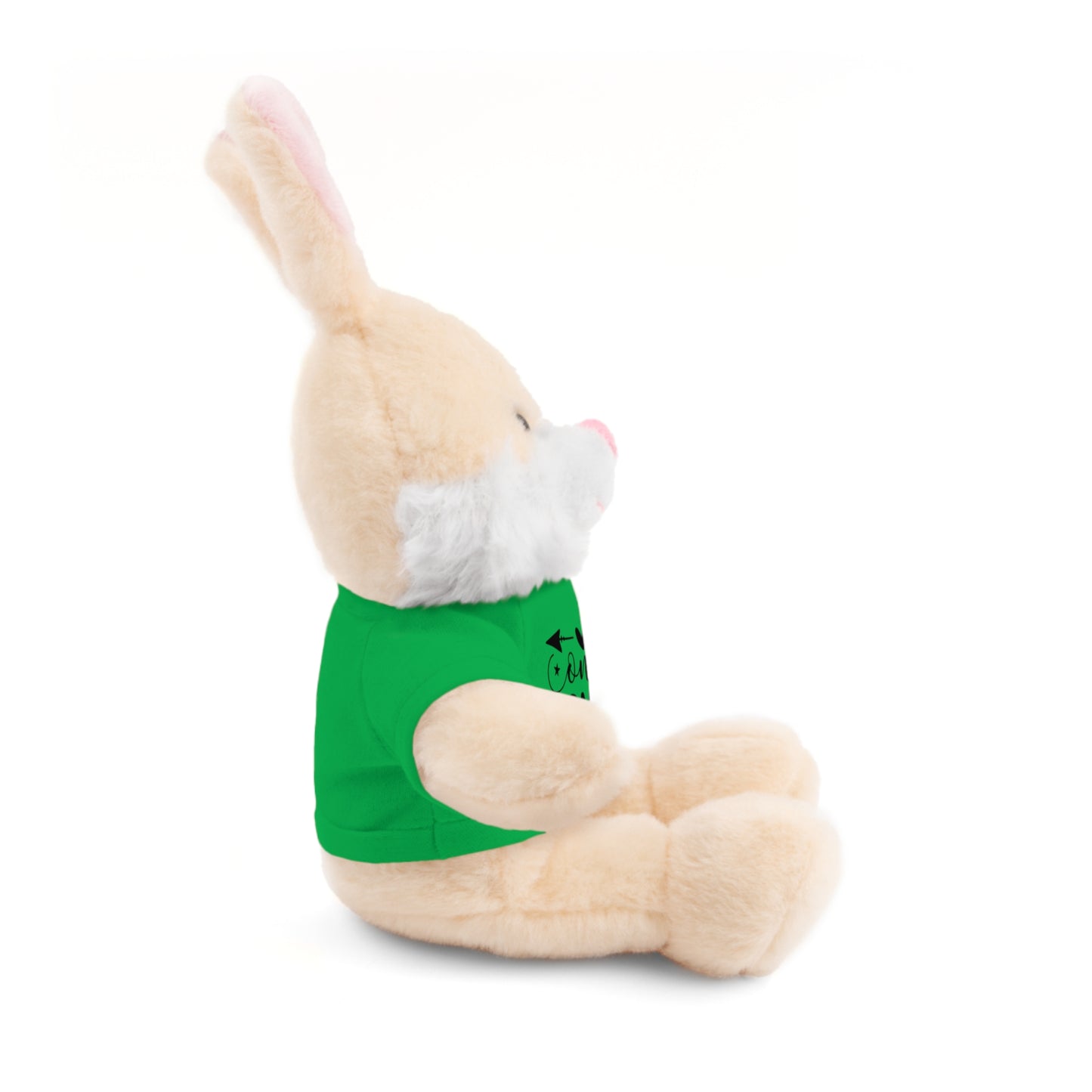 First Stuffed Friend with Custom Tee