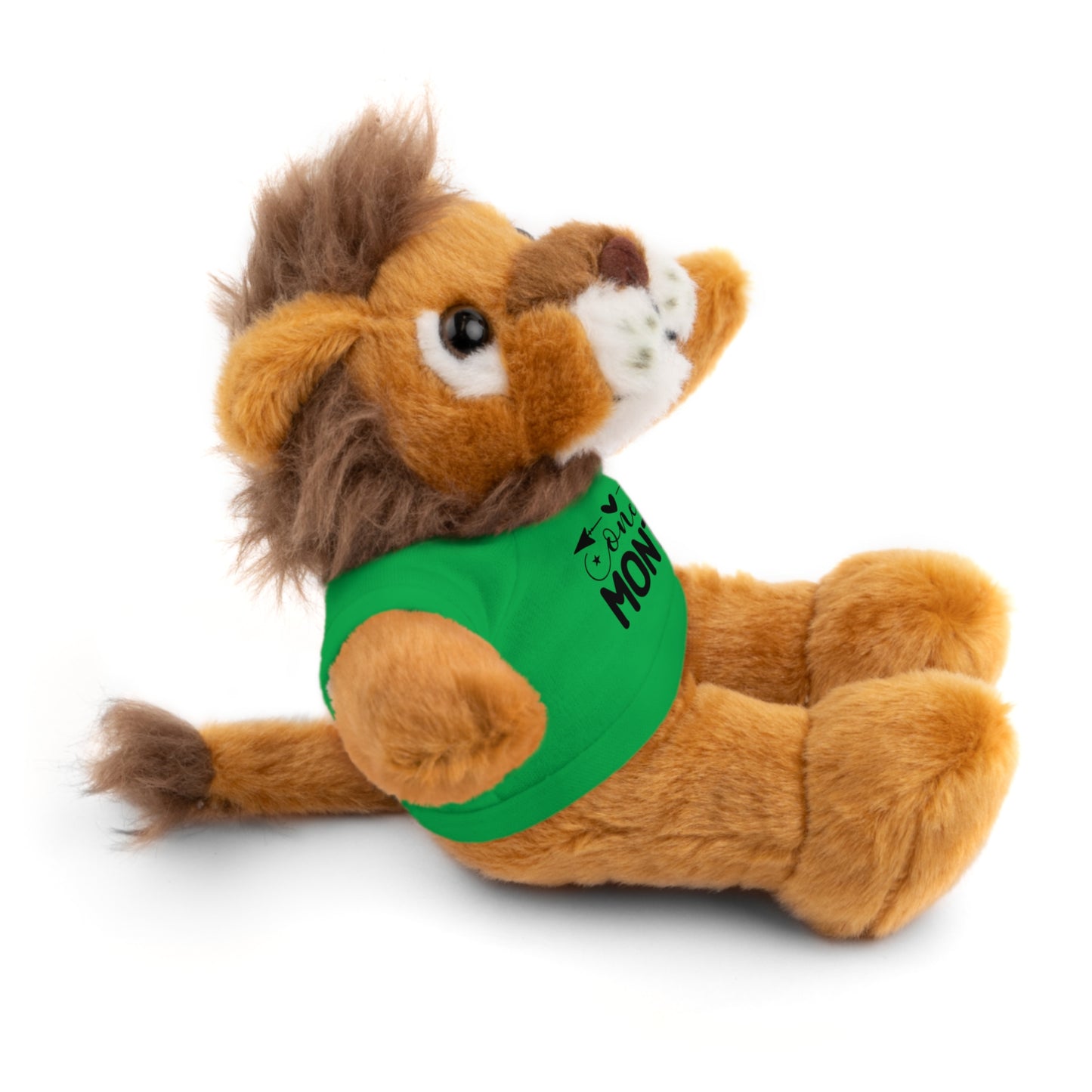 First Stuffed Friend with Custom Tee