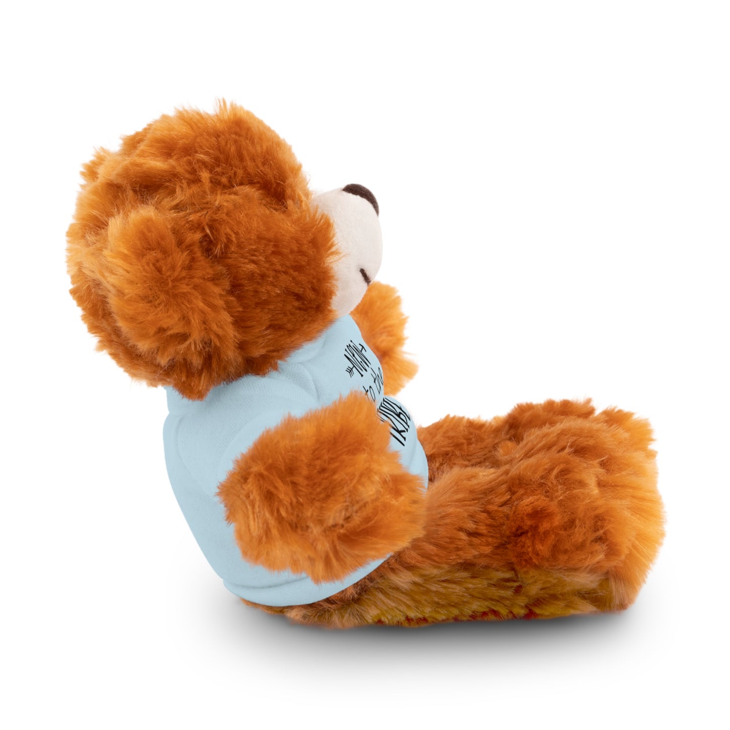 First Stuffed Friend with Custom Tee