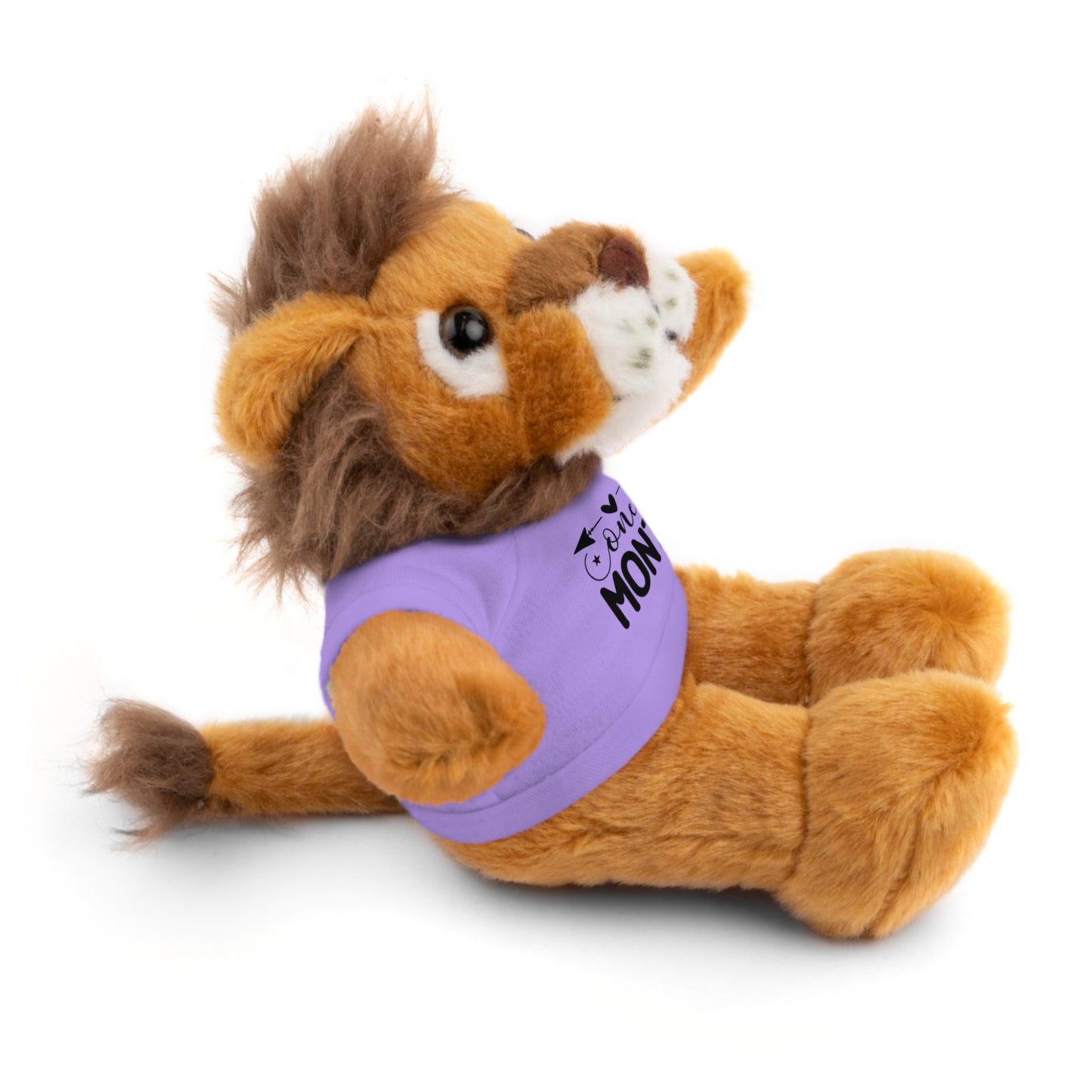 First Stuffed Friend with Custom Tee