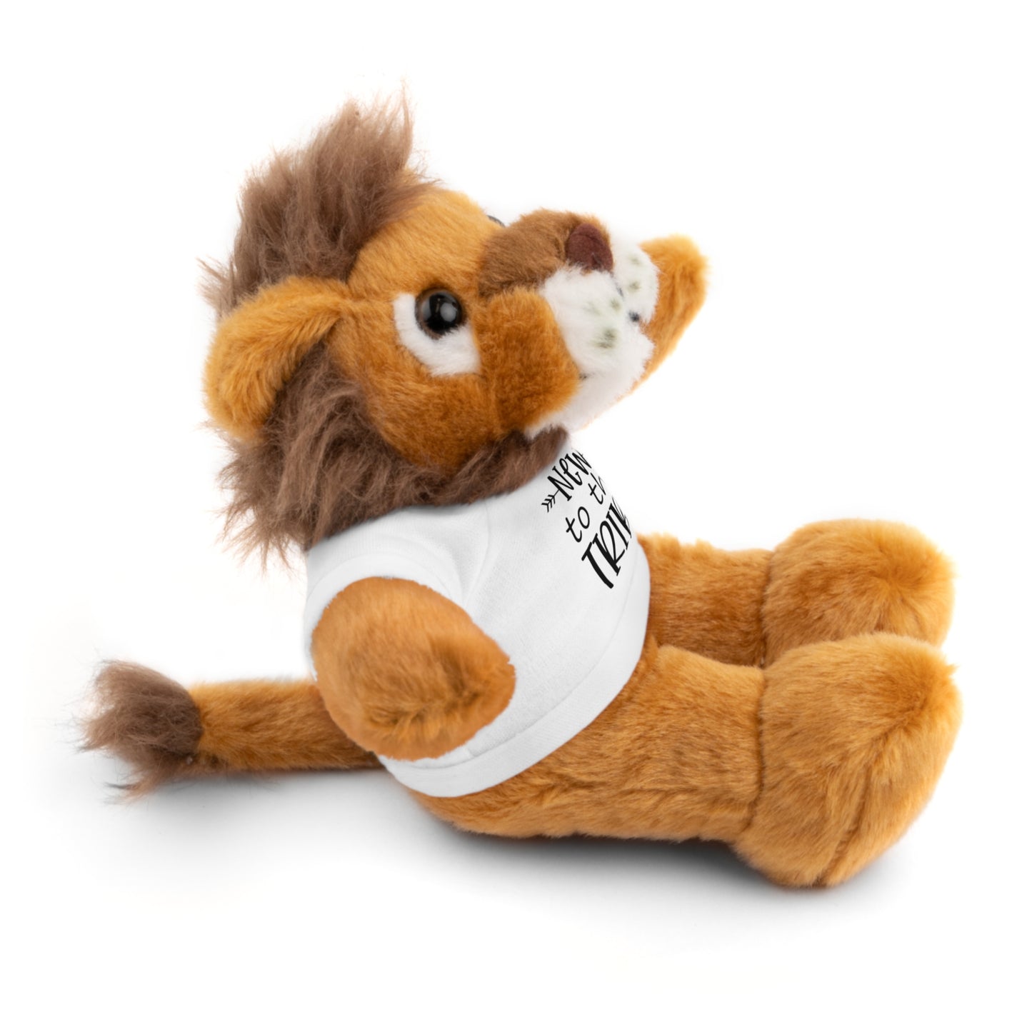First Stuffed Friend with Custom Tee