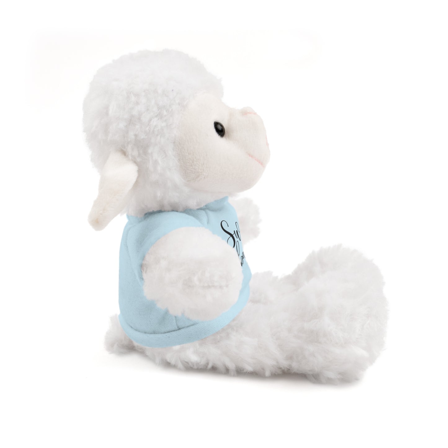 First Stuffed Friend with Custom Tee
