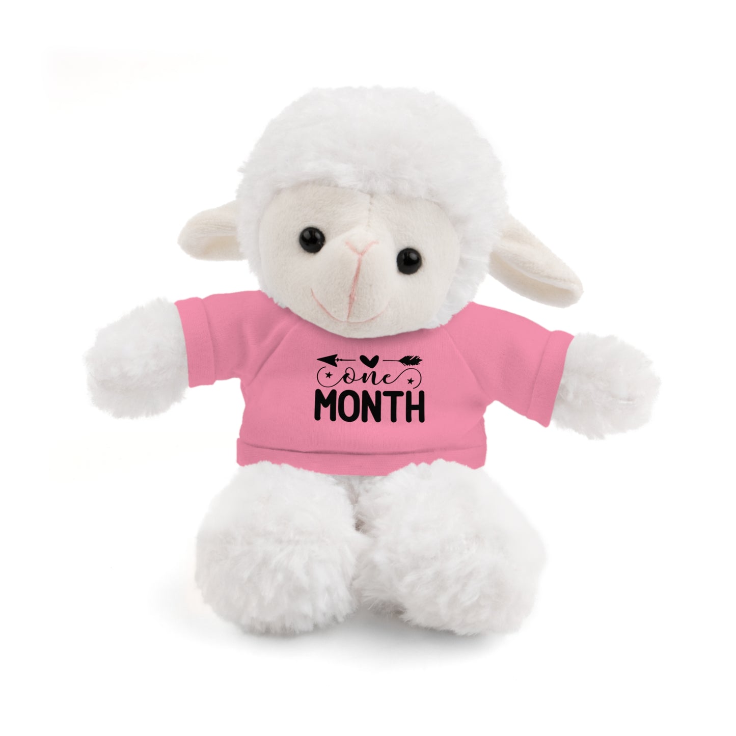 First Stuffed Friend with Custom Tee
