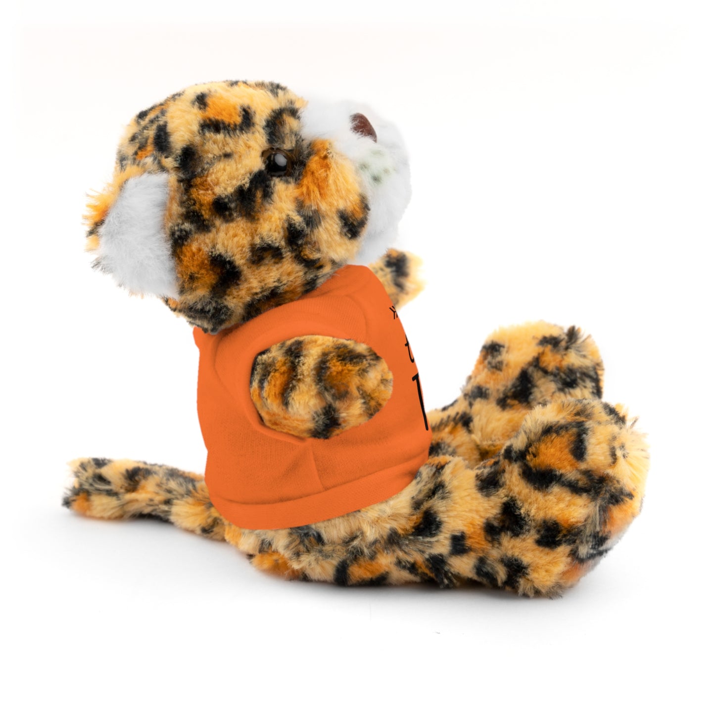First Stuffed Friend with Custom Tee