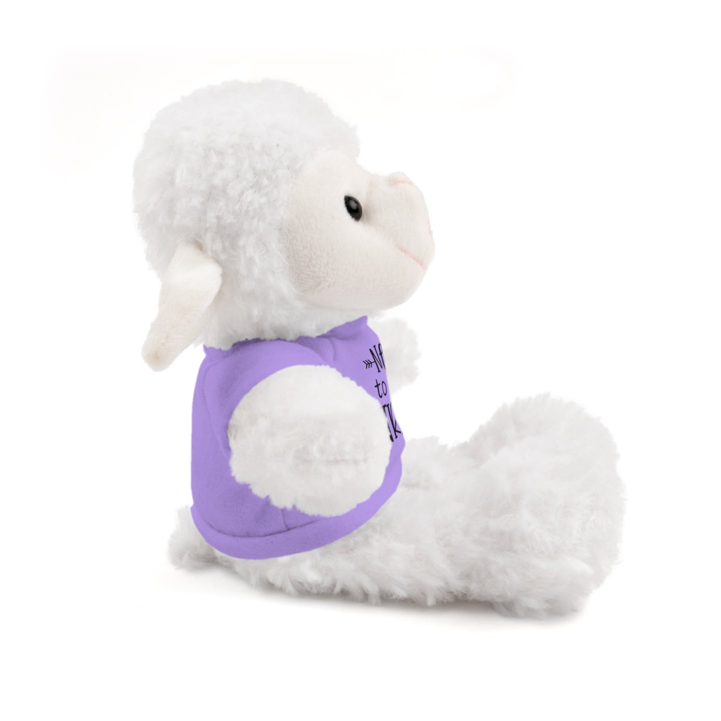 First Stuffed Friend with Custom Tee