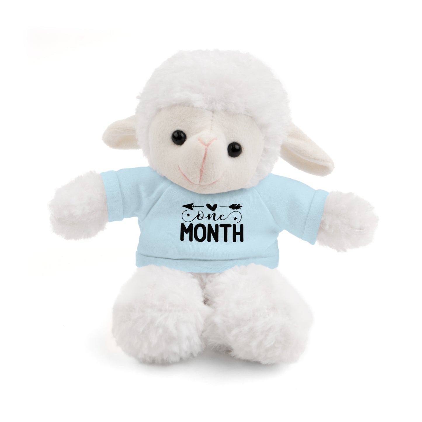 First Stuffed Friend with Custom Tee