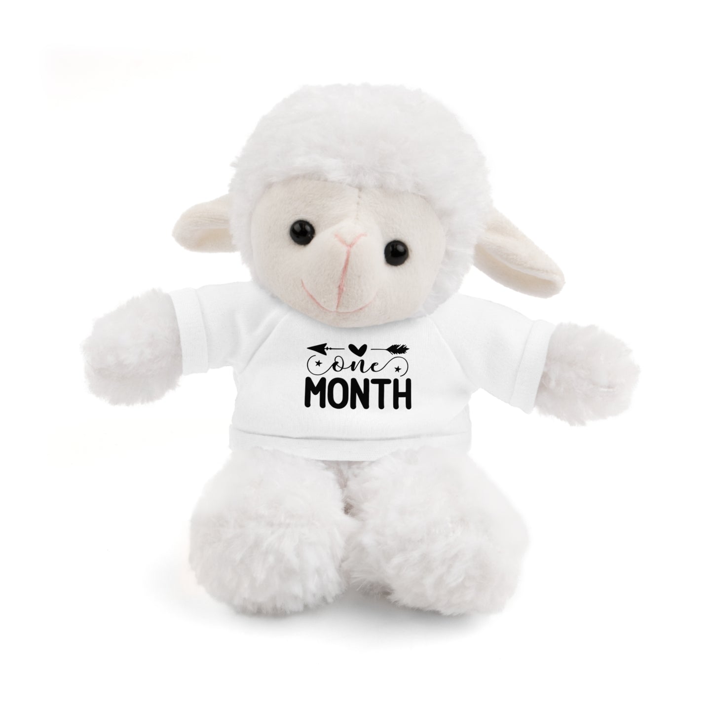 First Stuffed Friend with Custom Tee