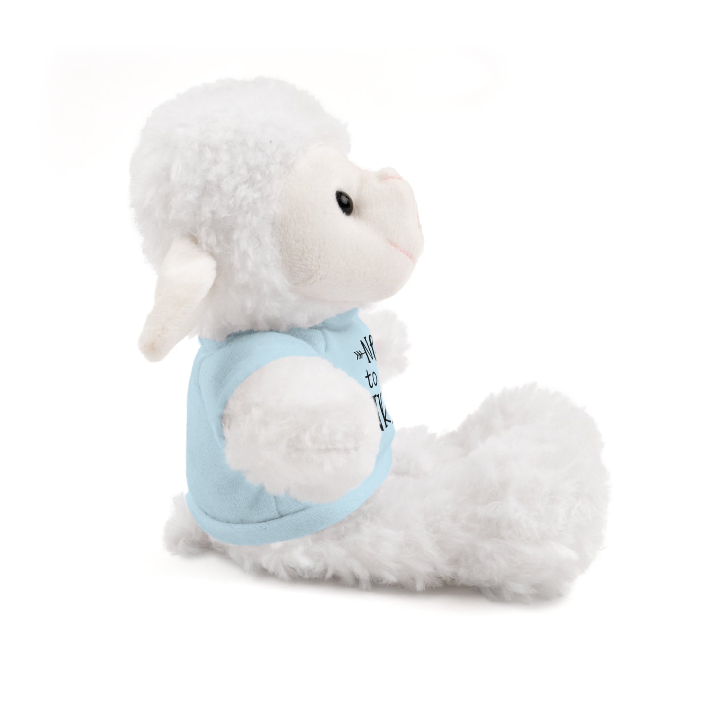 First Stuffed Friend with Custom Tee