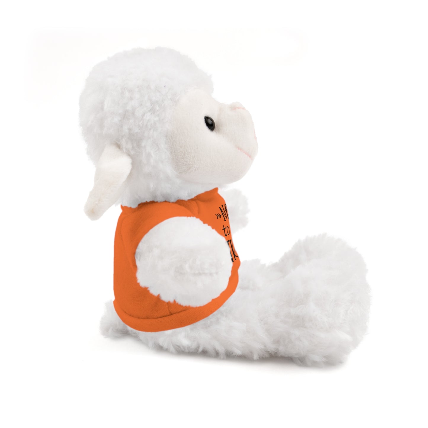 First Stuffed Friend with Custom Tee