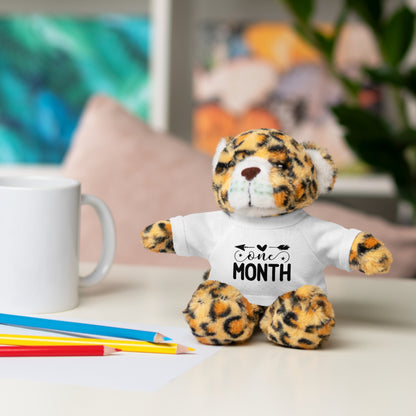 First Stuffed Friend with Custom Tee