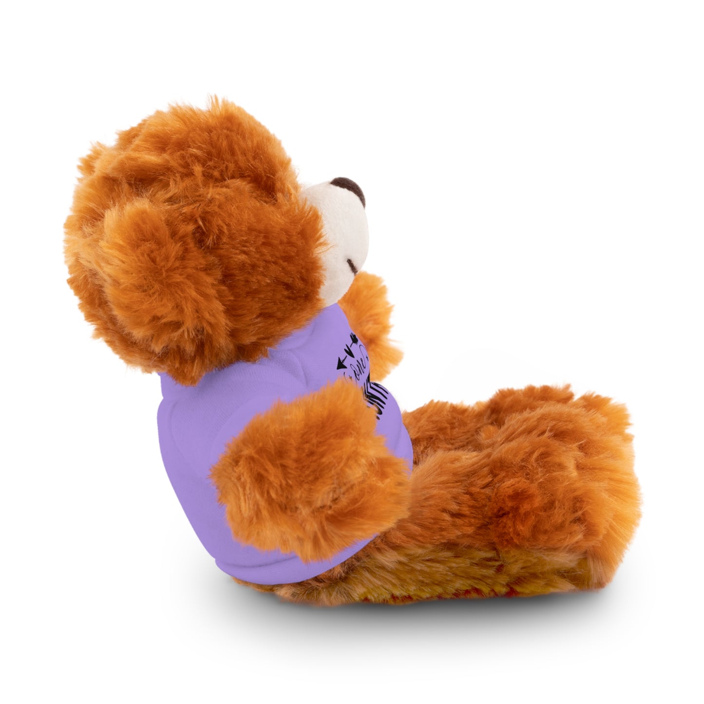 First Stuffed Friend with Custom Tee