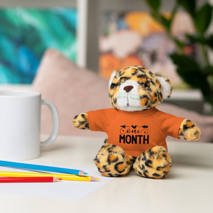 First Stuffed Friend with Custom Tee