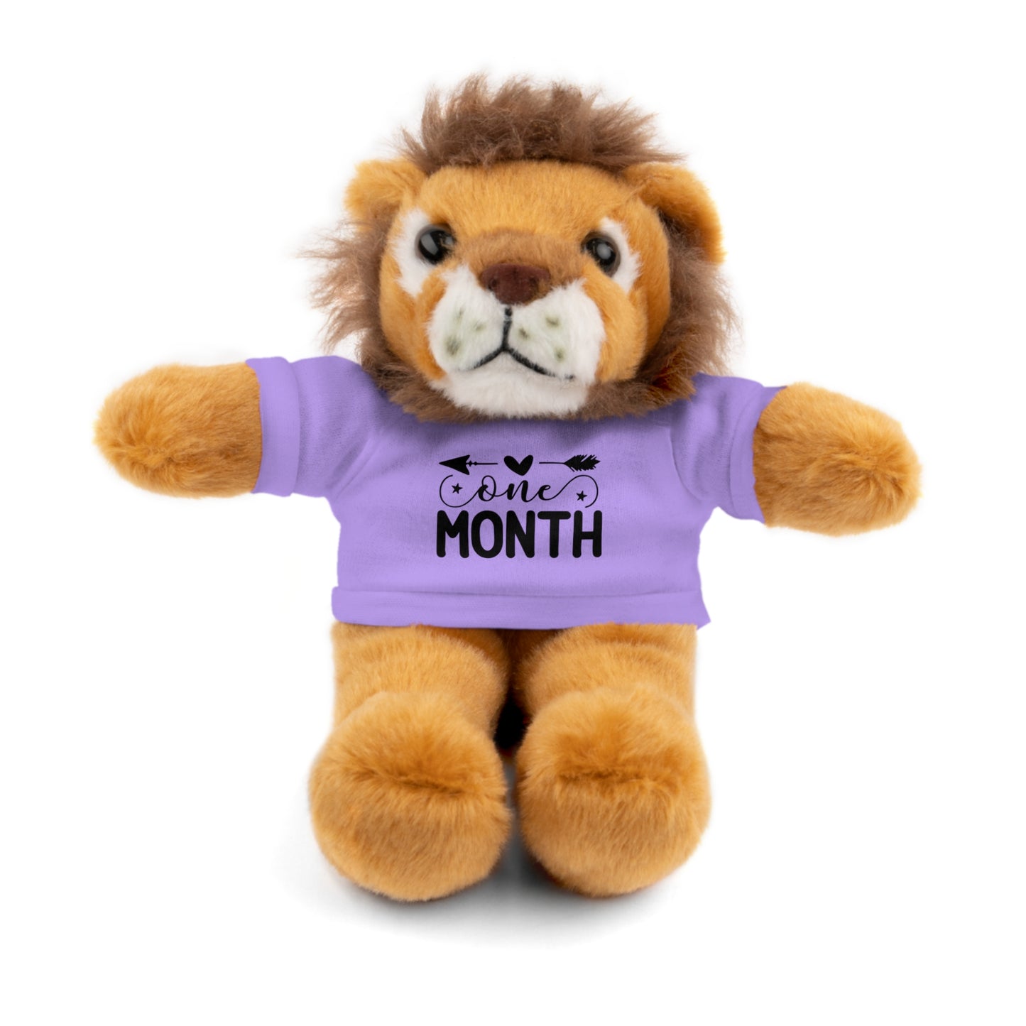 First Stuffed Friend with Custom Tee
