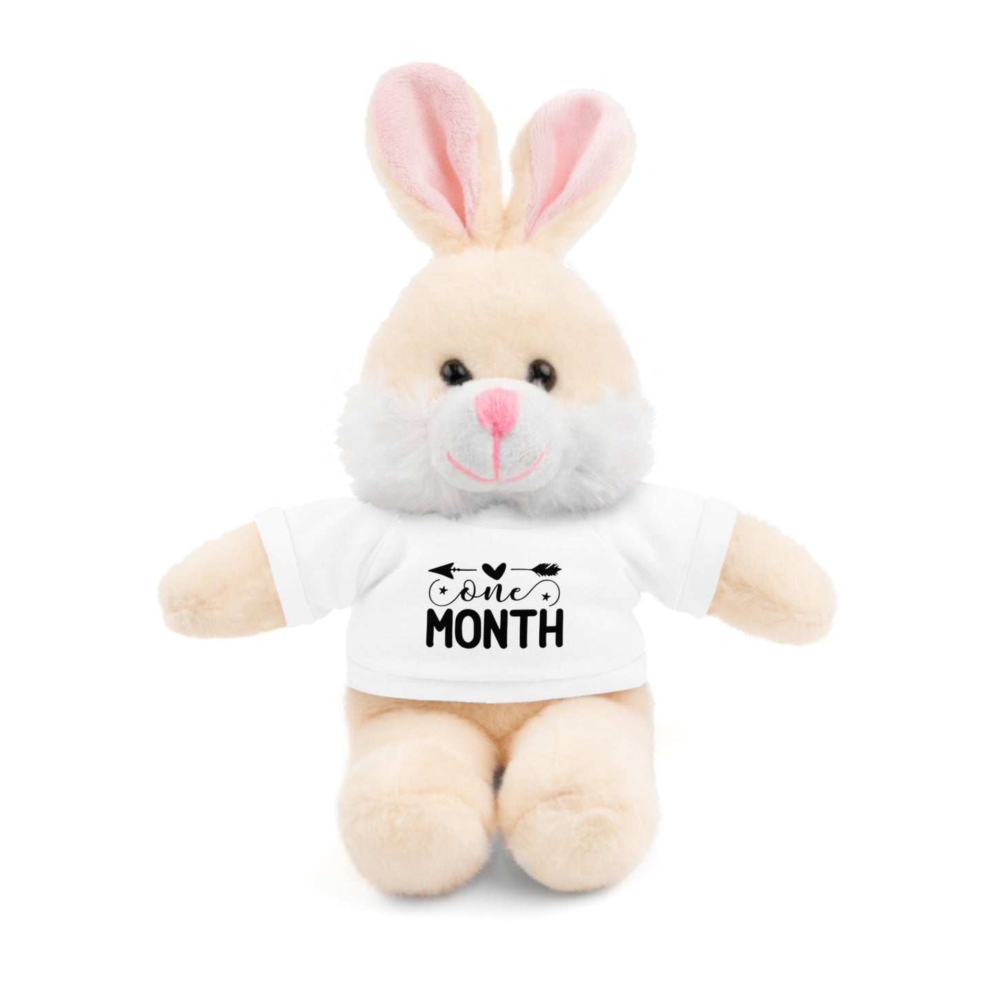 First Stuffed Friend with Custom Tee