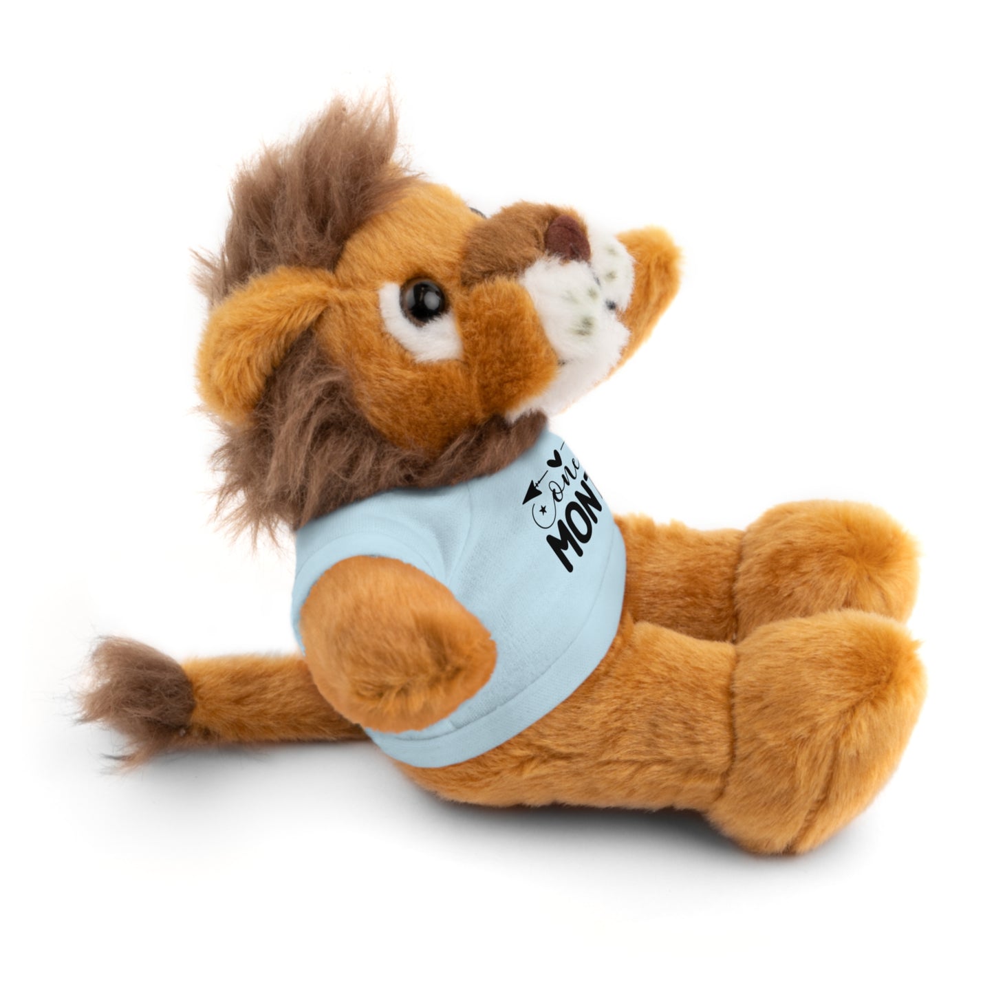 First Stuffed Friend with Custom Tee