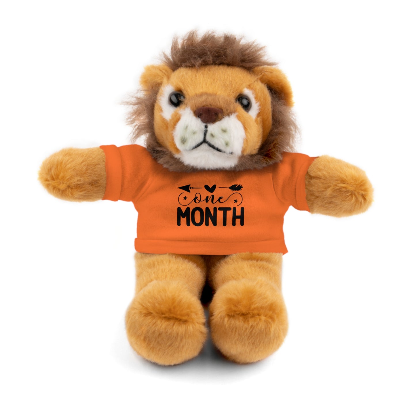 First Stuffed Friend with Custom Tee