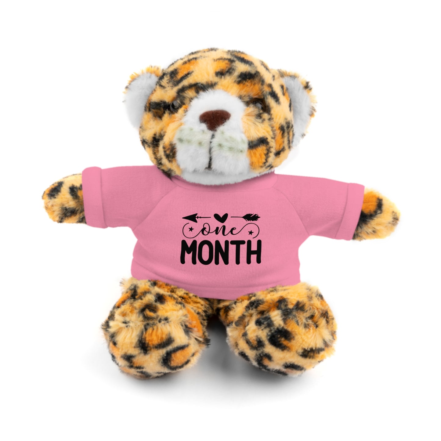 First Stuffed Friend with Custom Tee