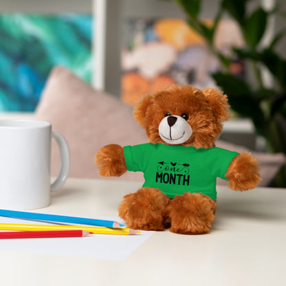 First Stuffed Friend with Custom Tee