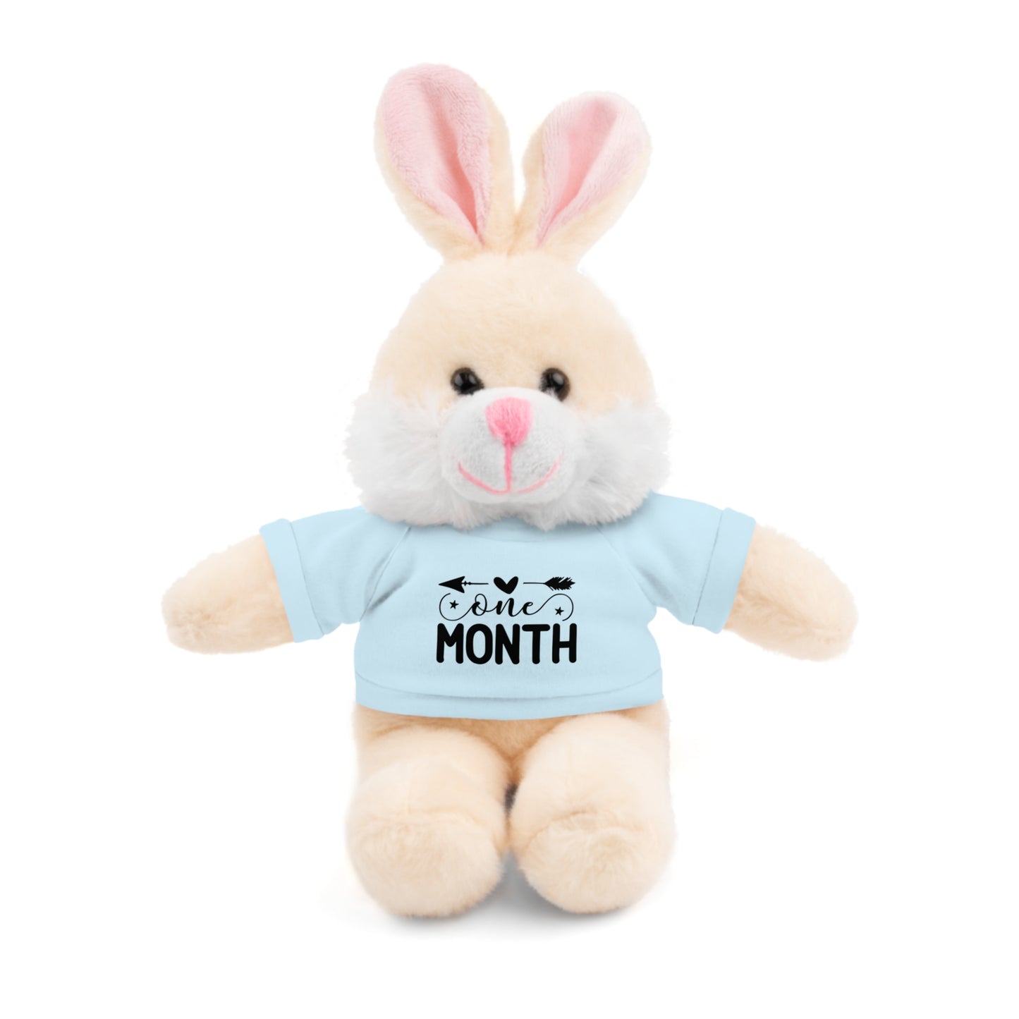 First Stuffed Friend with Custom Tee