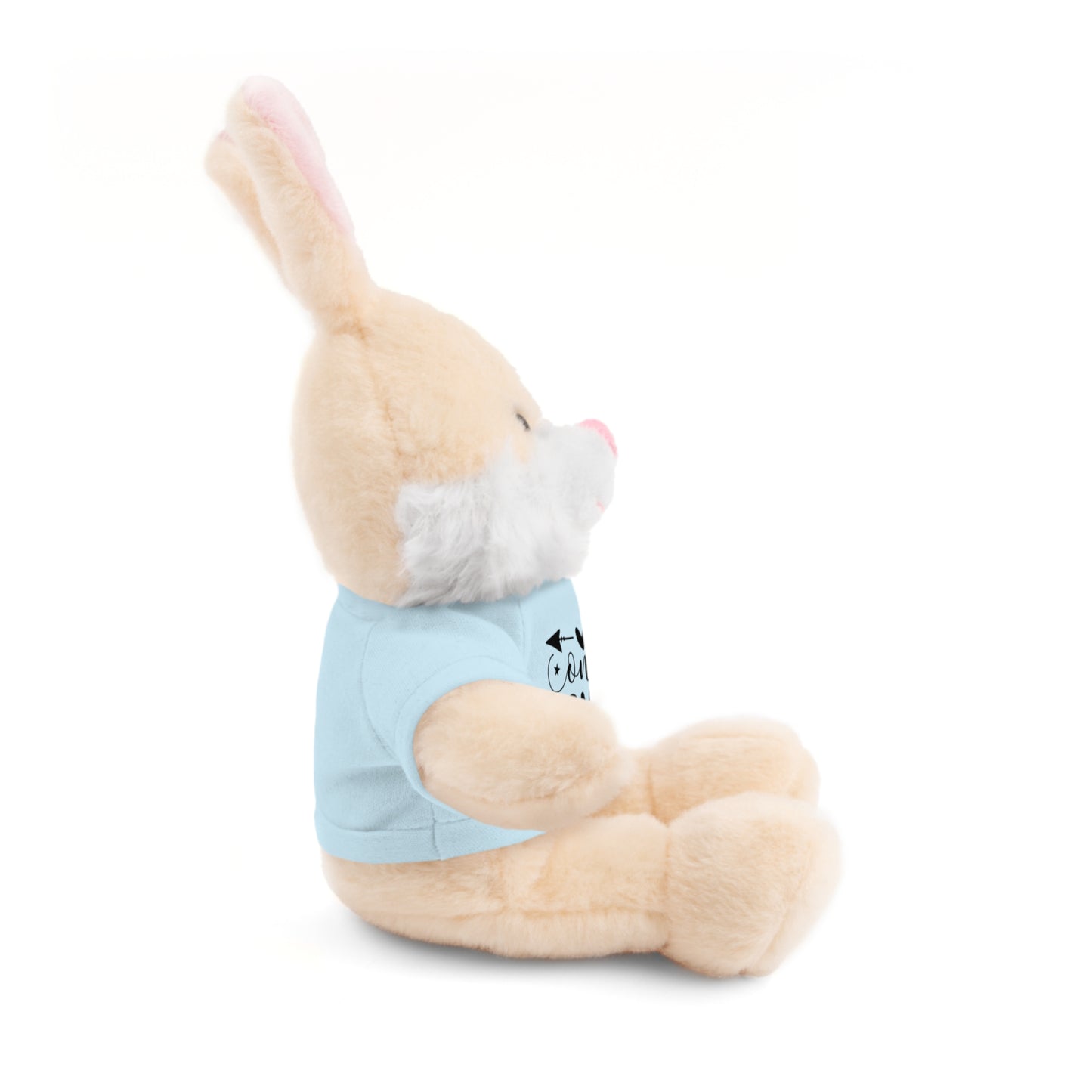 First Stuffed Friend with Custom Tee