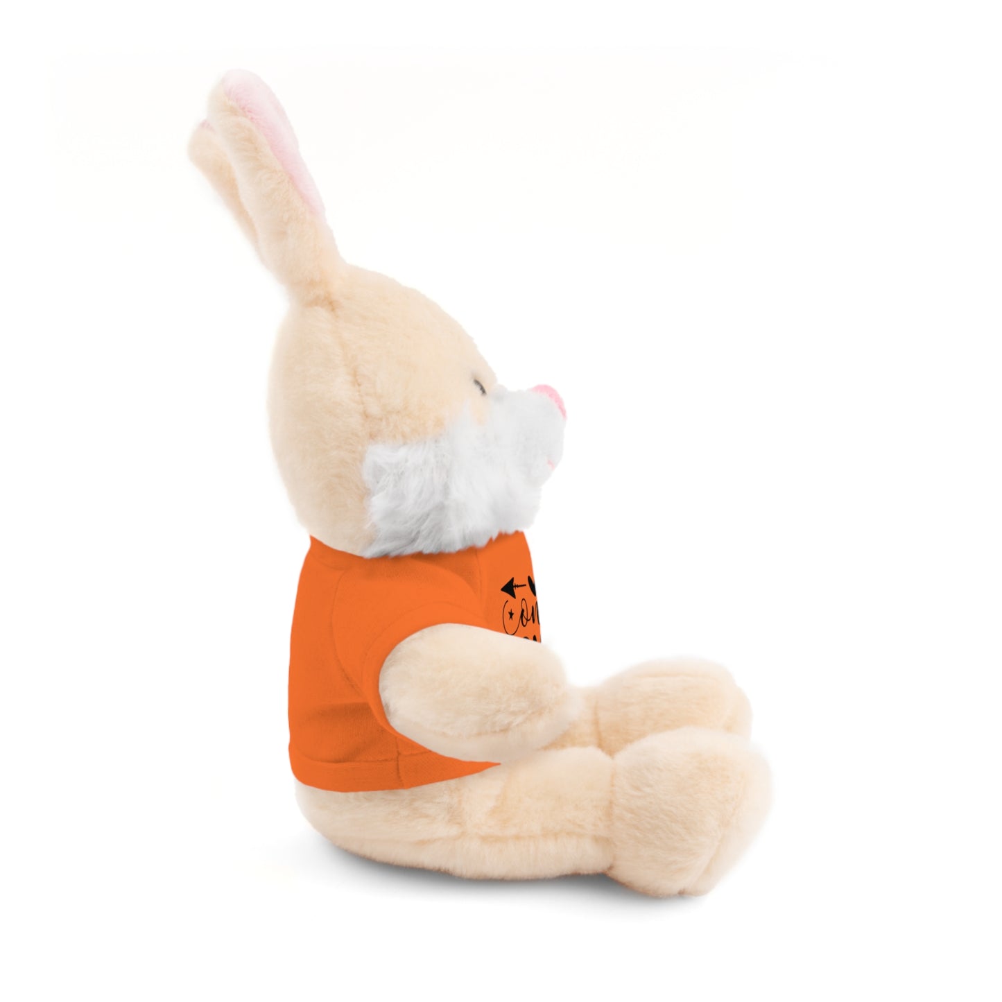 First Stuffed Friend with Custom Tee