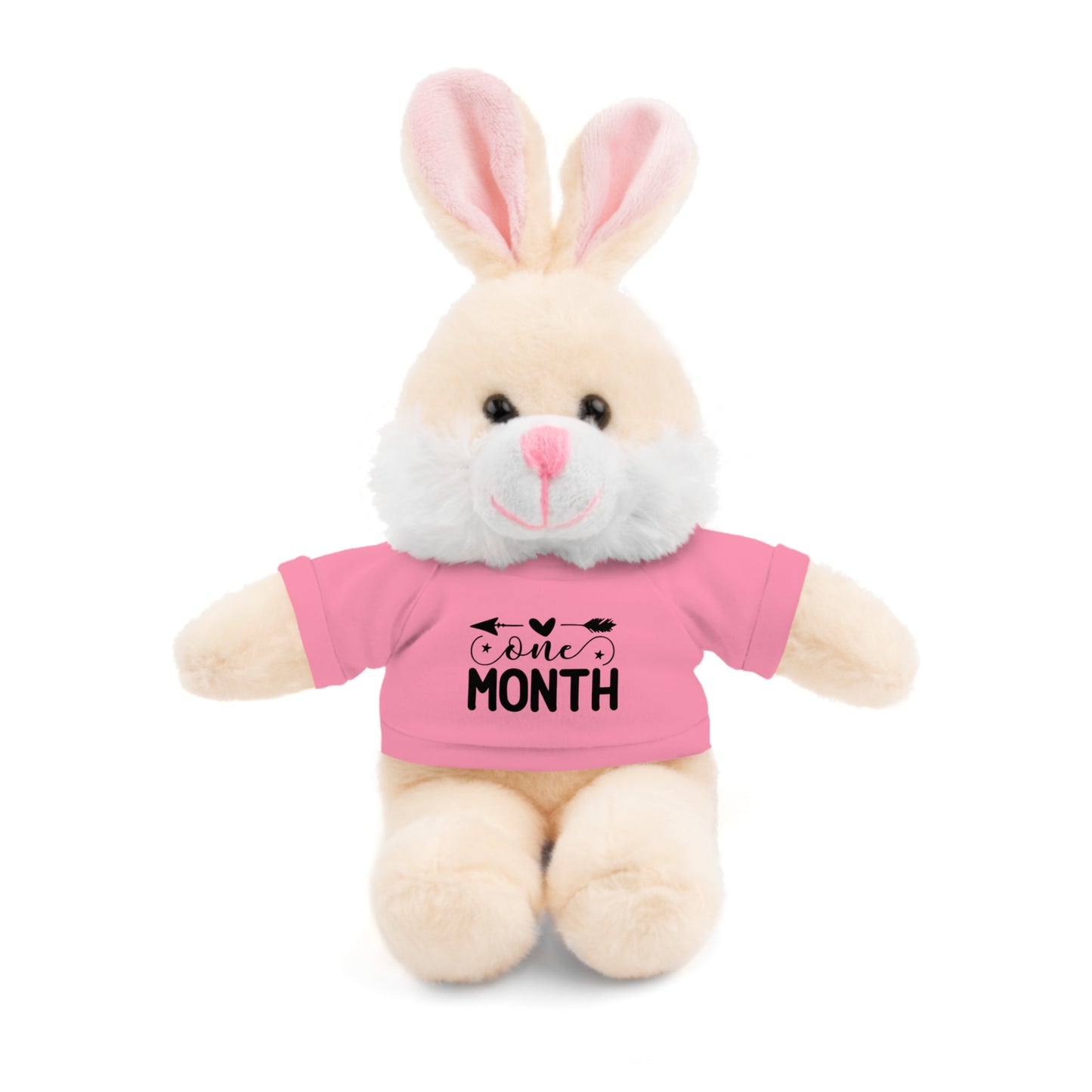 First Stuffed Friend with Custom Tee