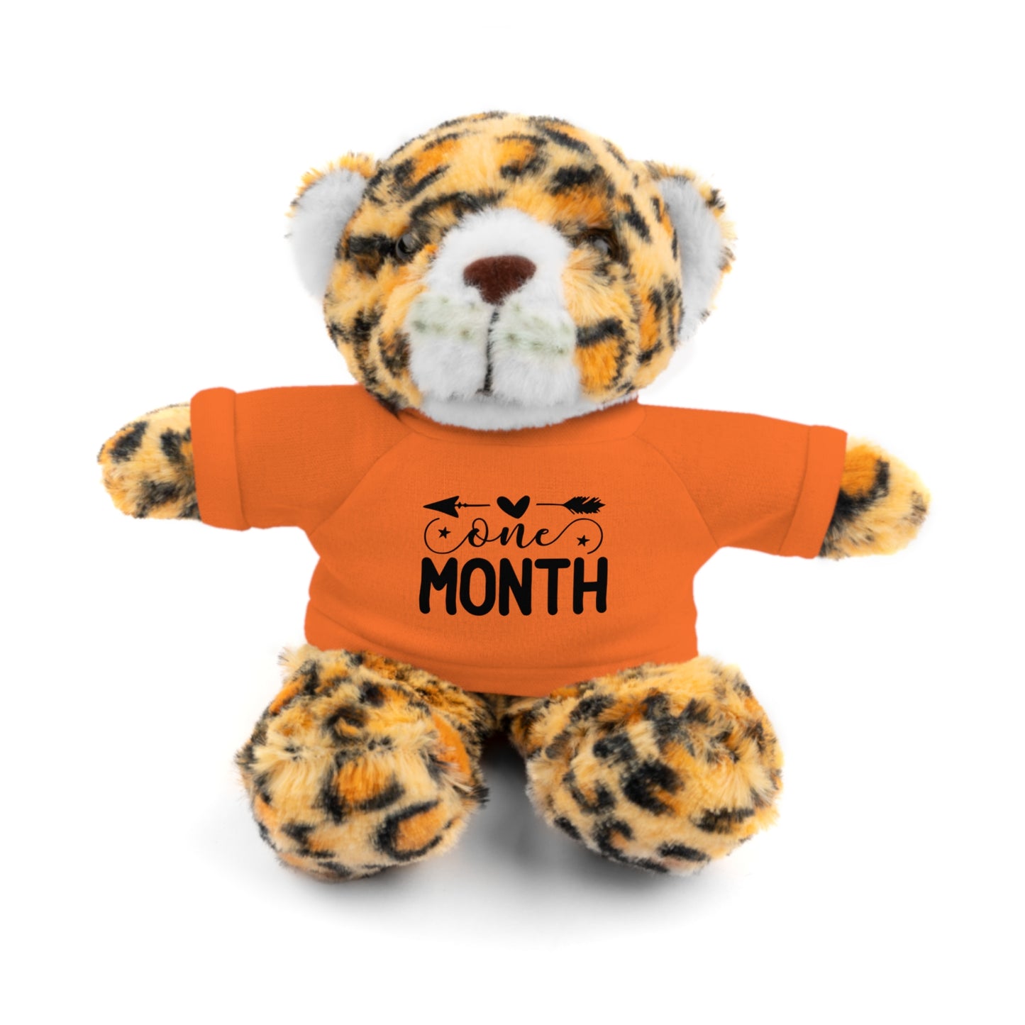 First Stuffed Friend with Custom Tee