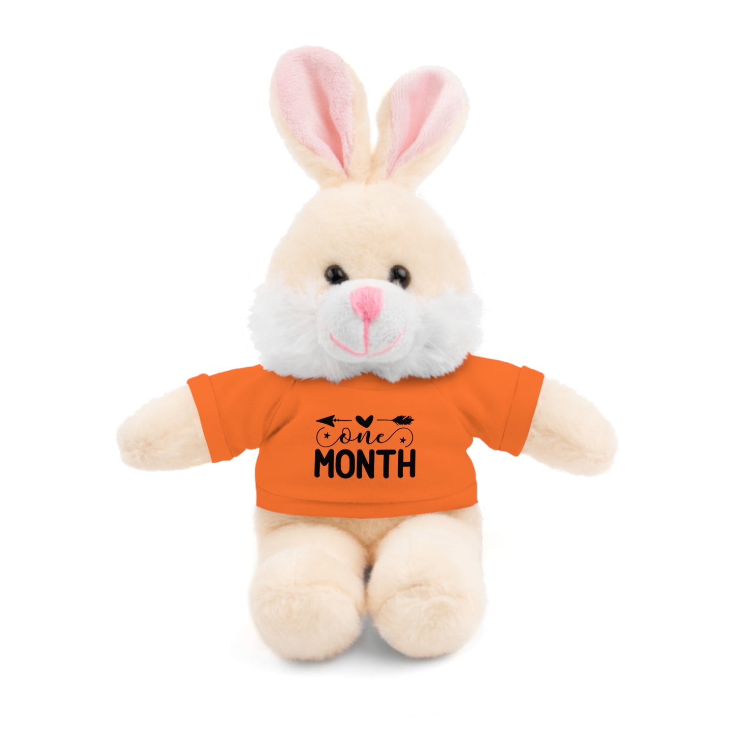 First Stuffed Friend with Custom Tee