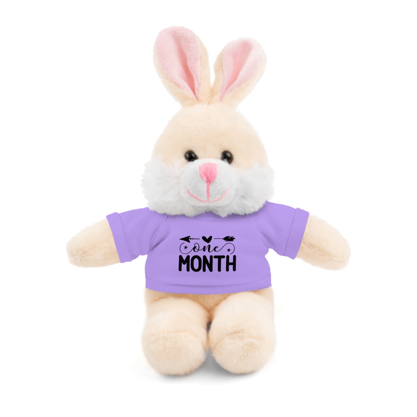 First Stuffed Friend with Custom Tee