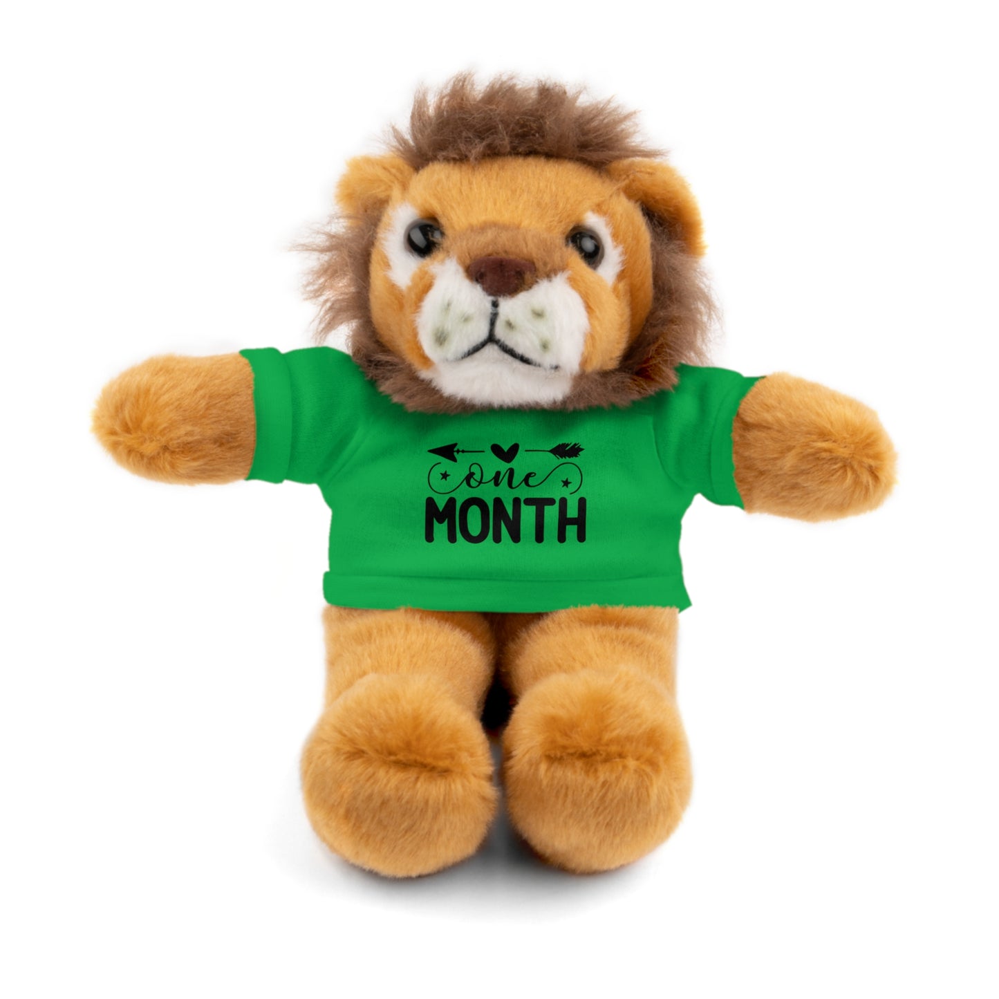 First Stuffed Friend with Custom Tee