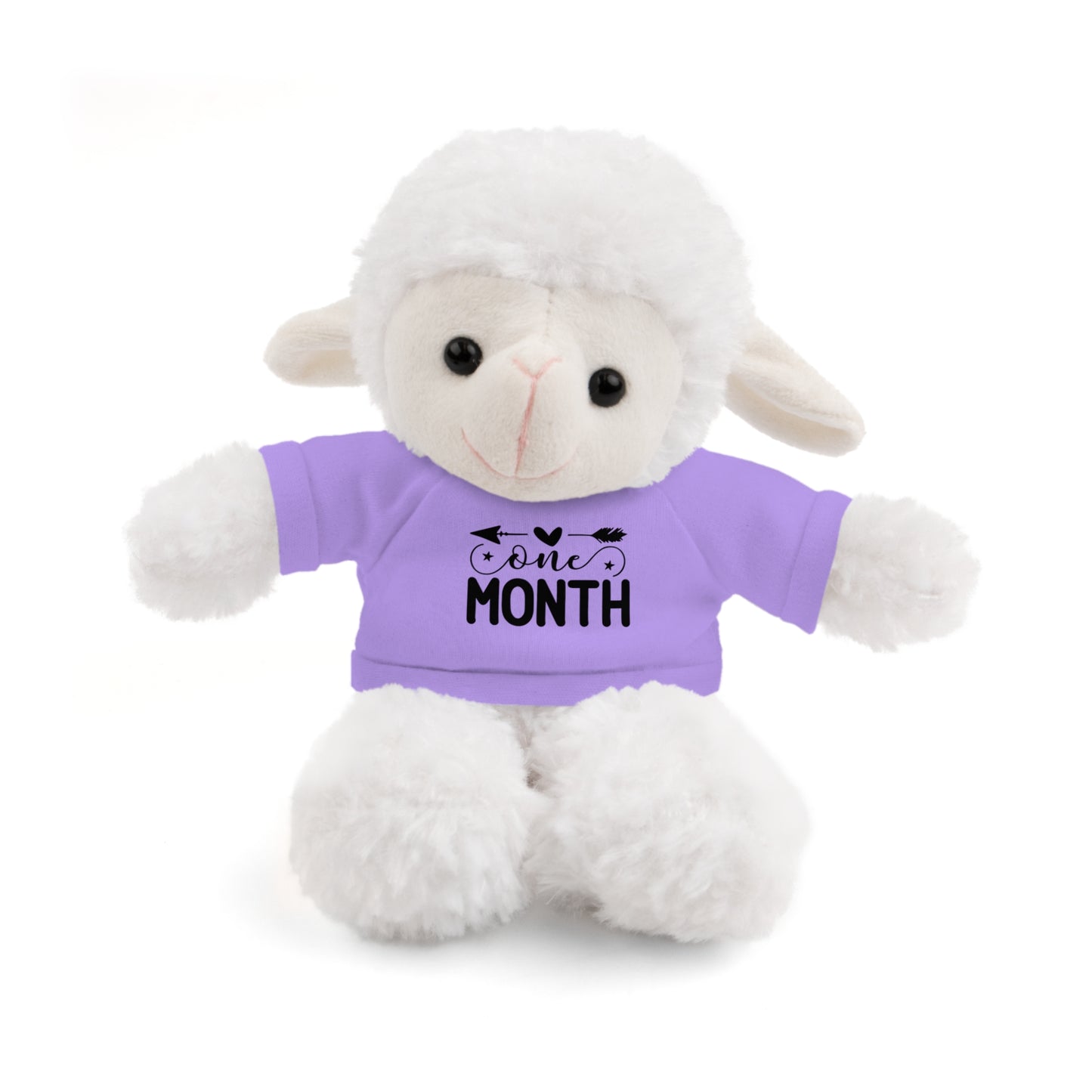 First Stuffed Friend with Custom Tee